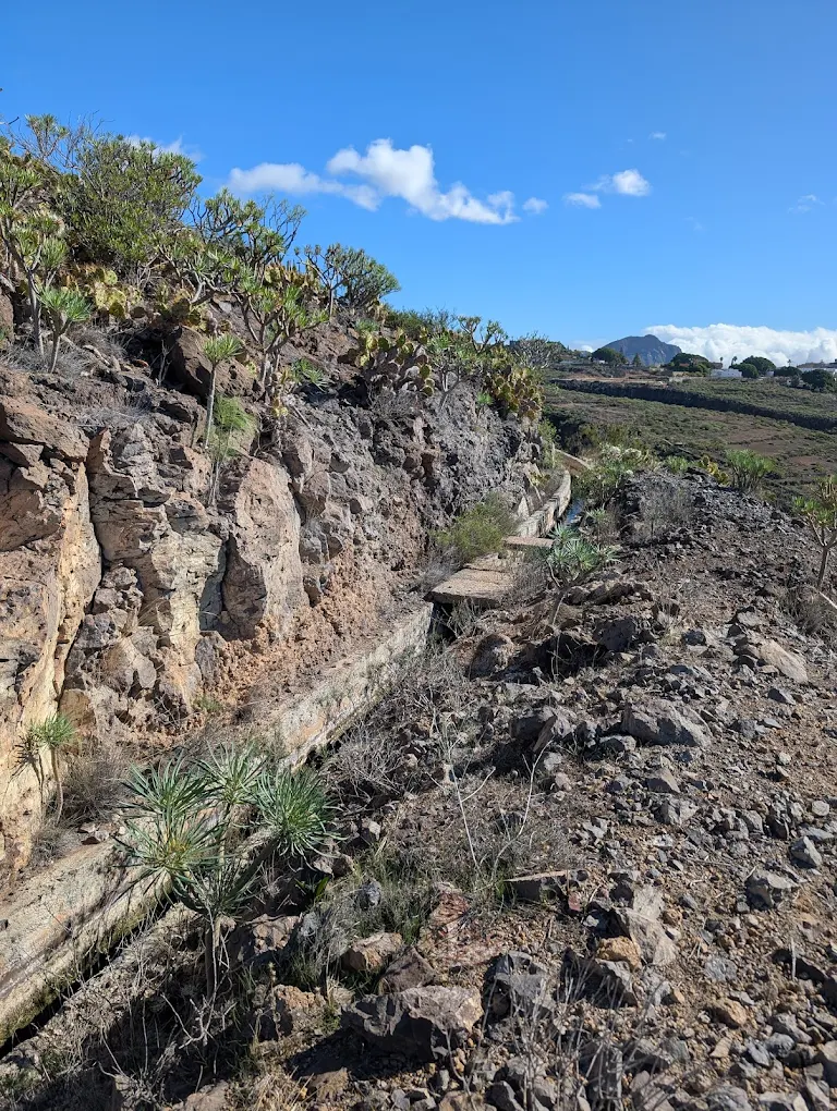 Hiking Tours in La Caleta photo 4