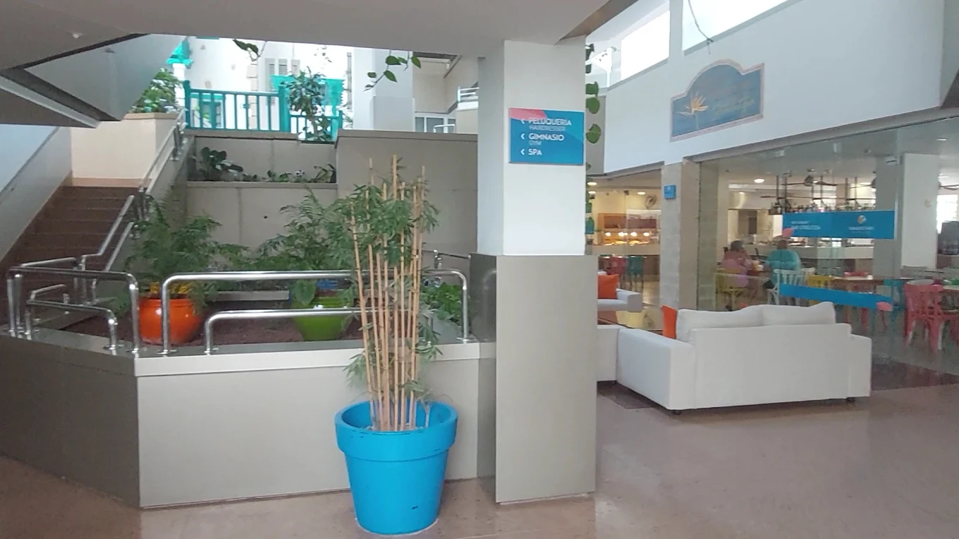 Beach Club & Bali Beds in Los Cristianos photo 2
