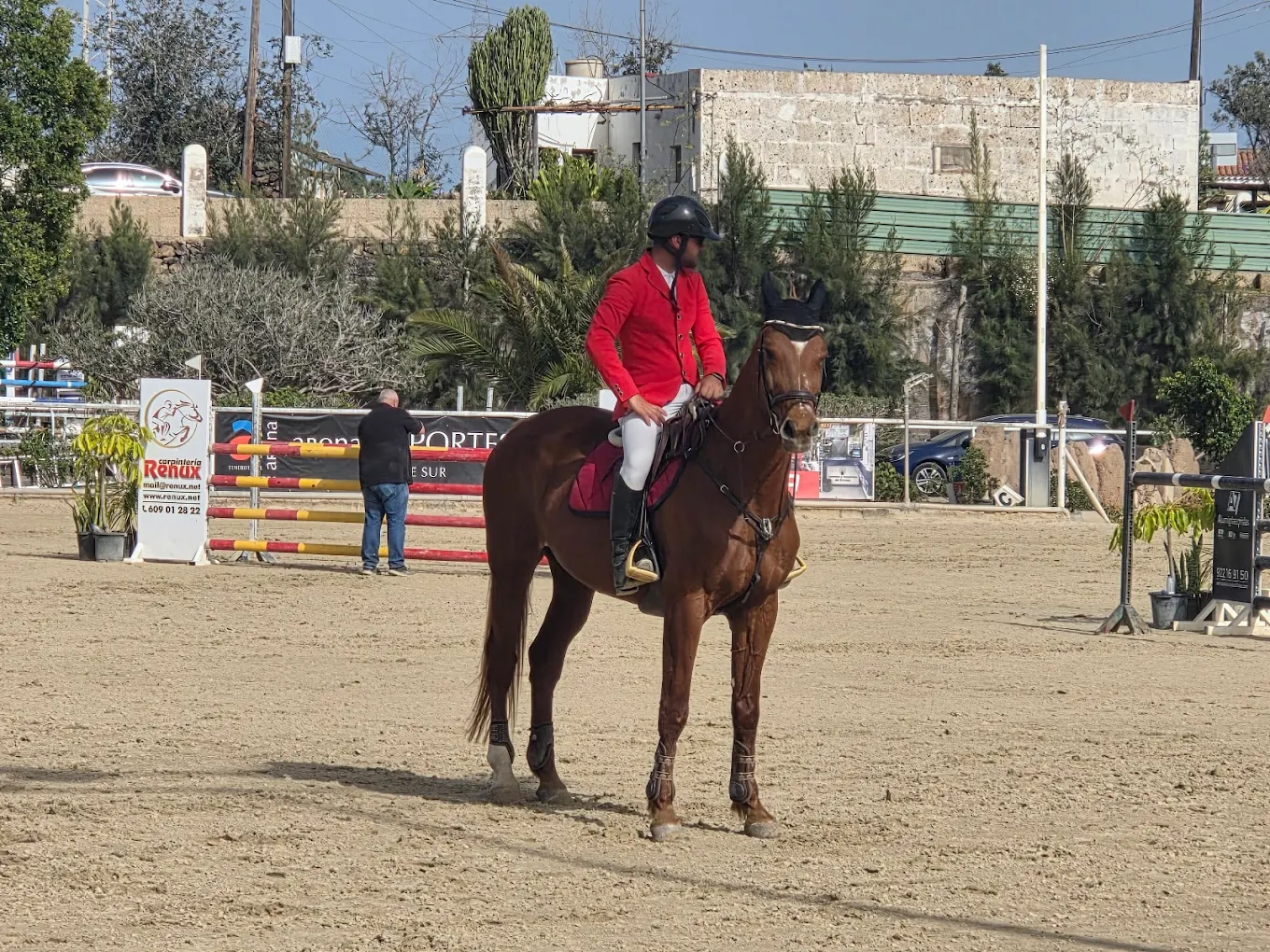 Horseback Riding in Los Gigantes photo 5