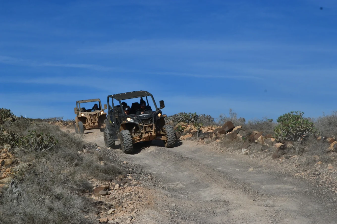 Quad & Buggy Tours in Costa Teguise