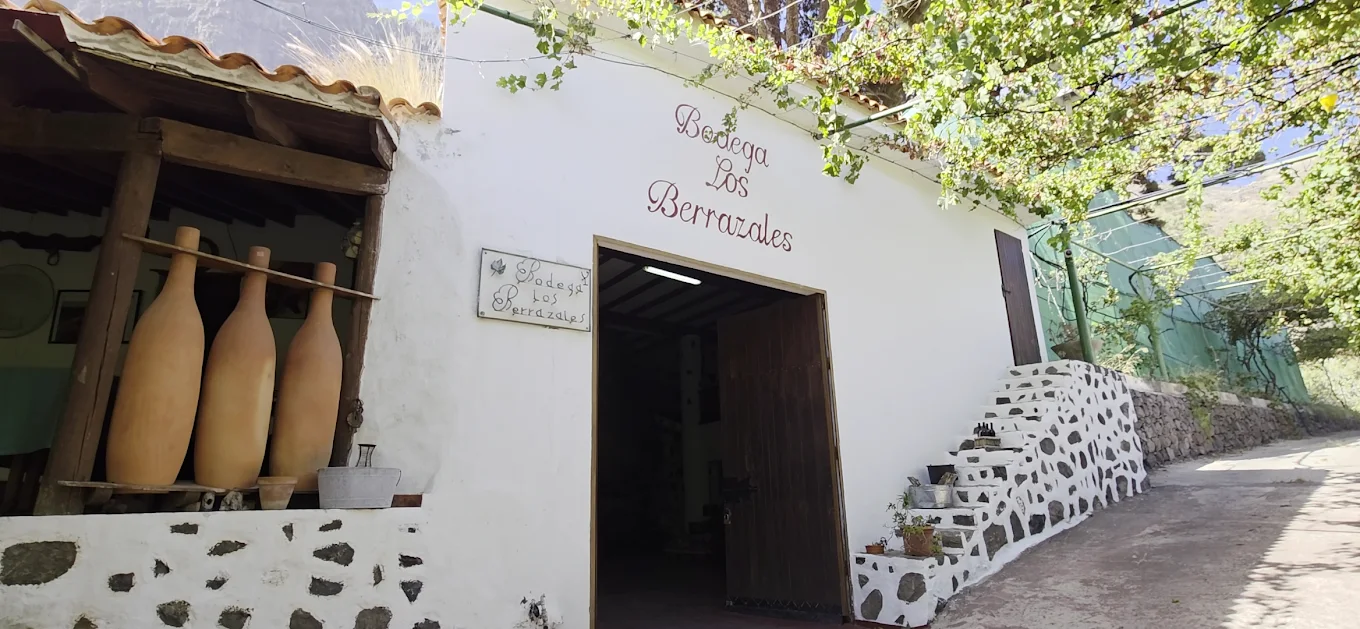 Wine Tasting in Las Palmas