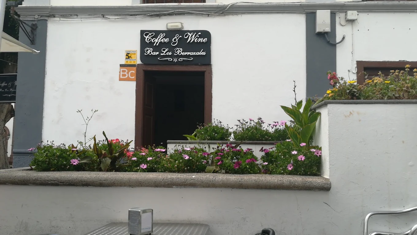 Wine Tasting in Las Palmas photo 4