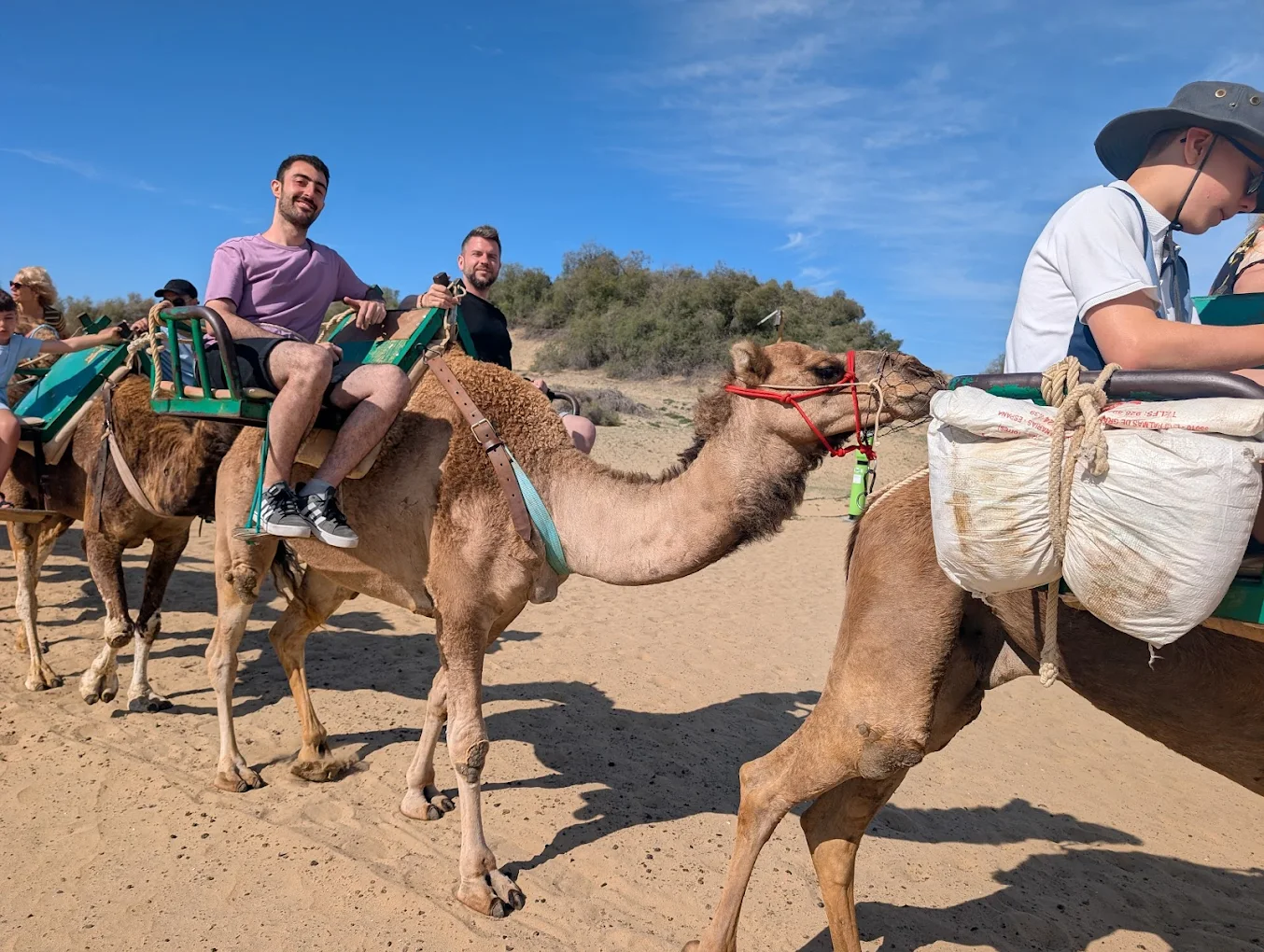 Camel Riding in Santa Cruz photo 2