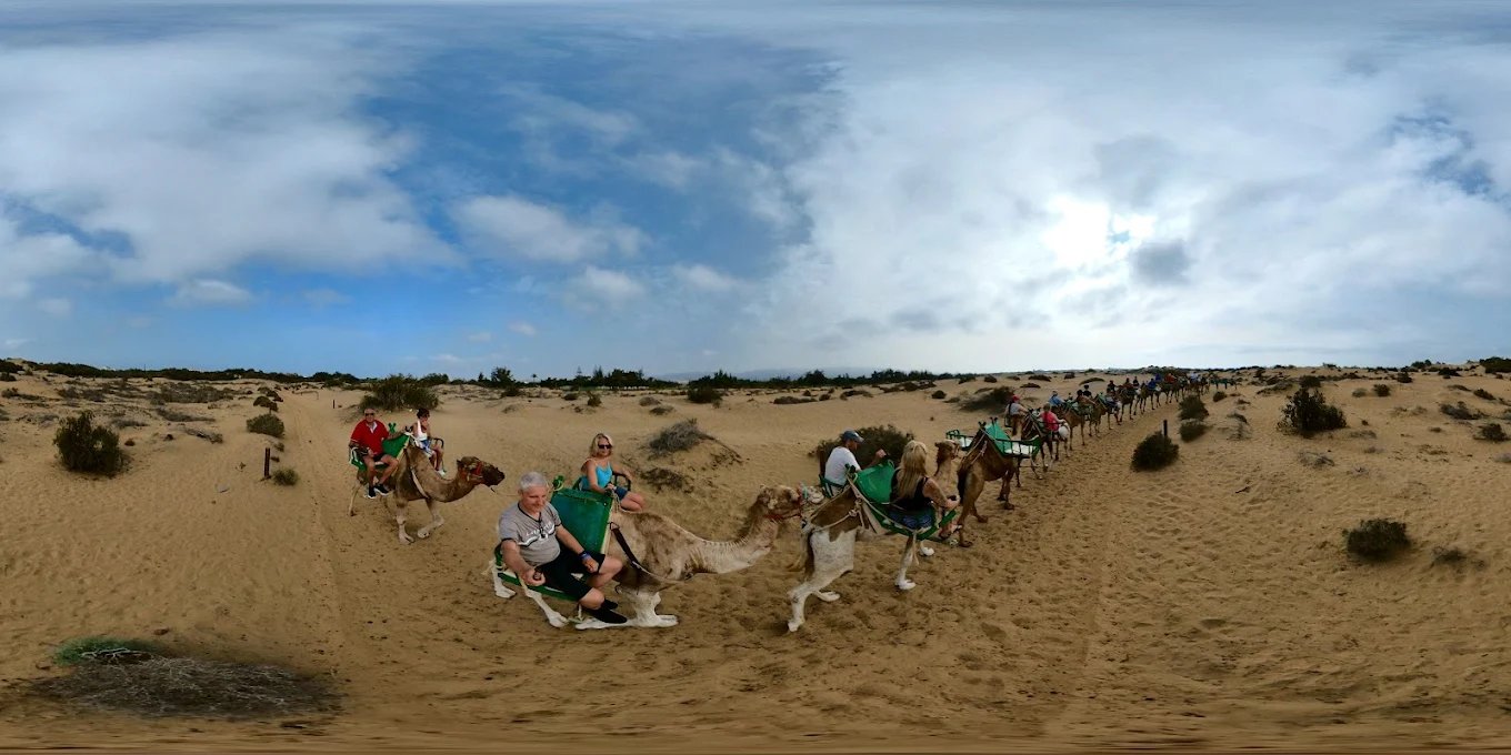Camel Riding in Santa Cruz photo 5
