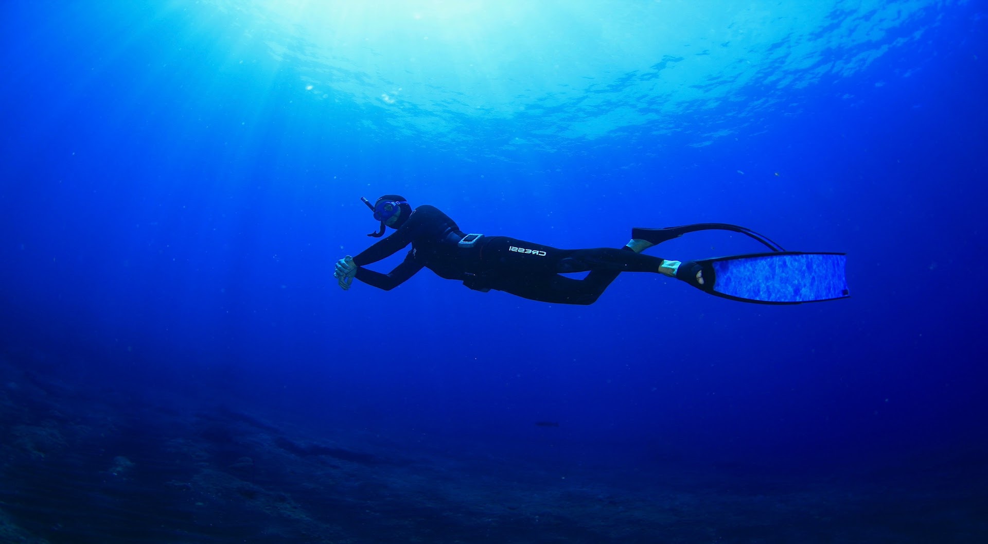 1501 Freediving