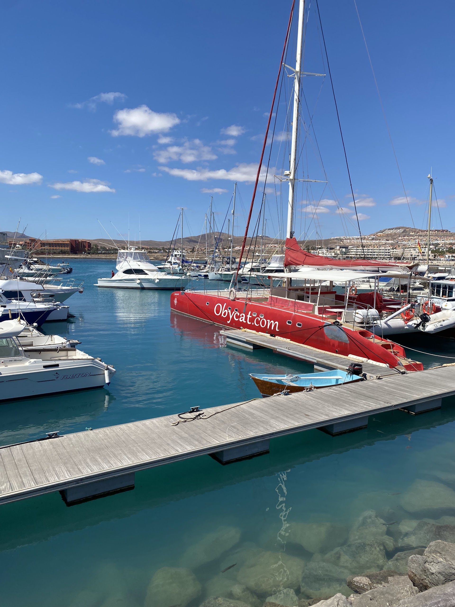 Fishing Caleta photo 1