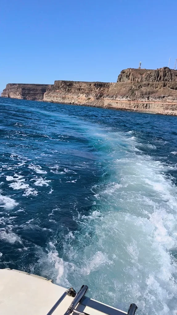 Family Boat Trips in Puerto de Mogán photo 3