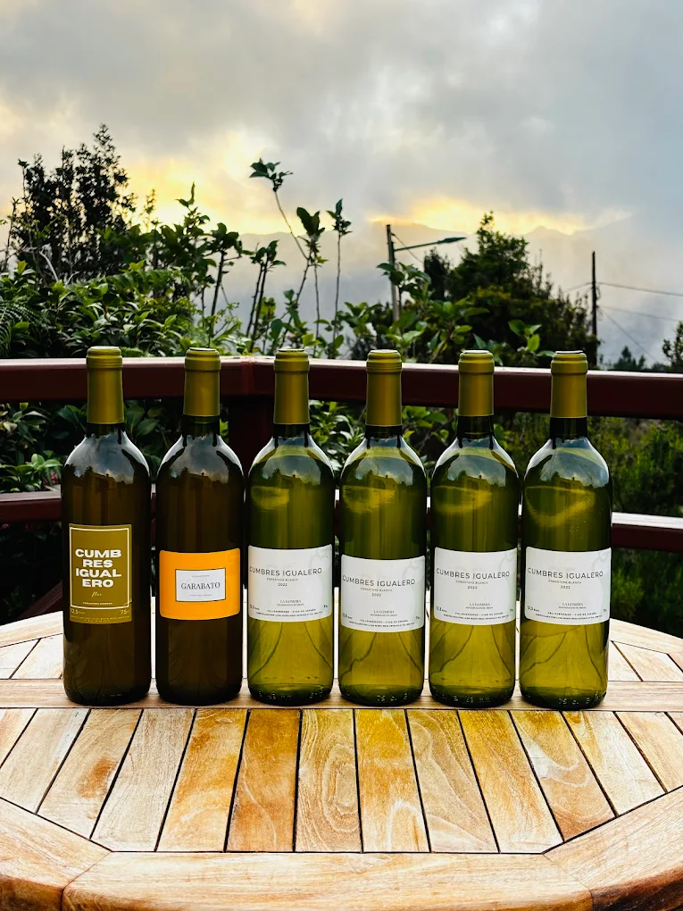 Wine Tasting in Agulo photo 5