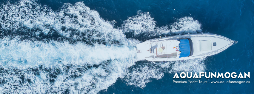 Family Boat Trips in Las Palmas photo 4