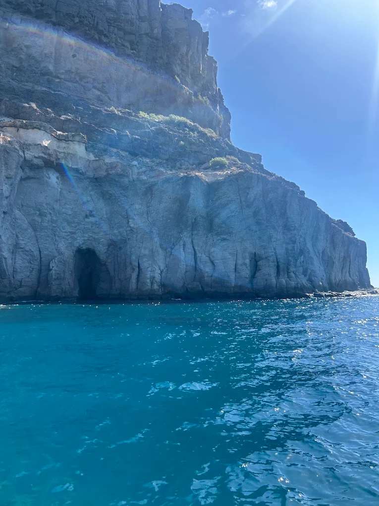 Dolphin Watching in Teror photo 5