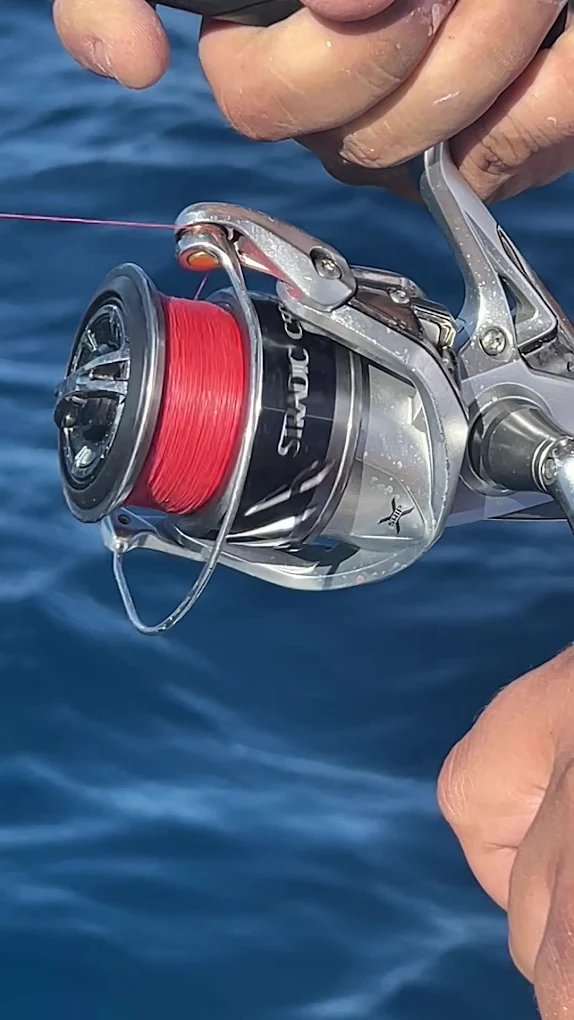 Fishing Charter in La Laguna photo 3