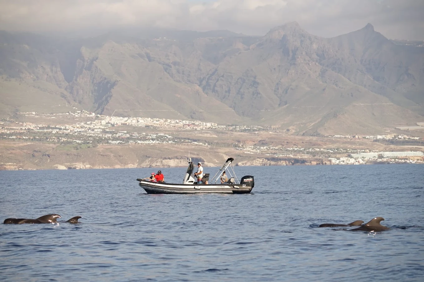 Water Skiing in Puerto de la Cruz photo 4
