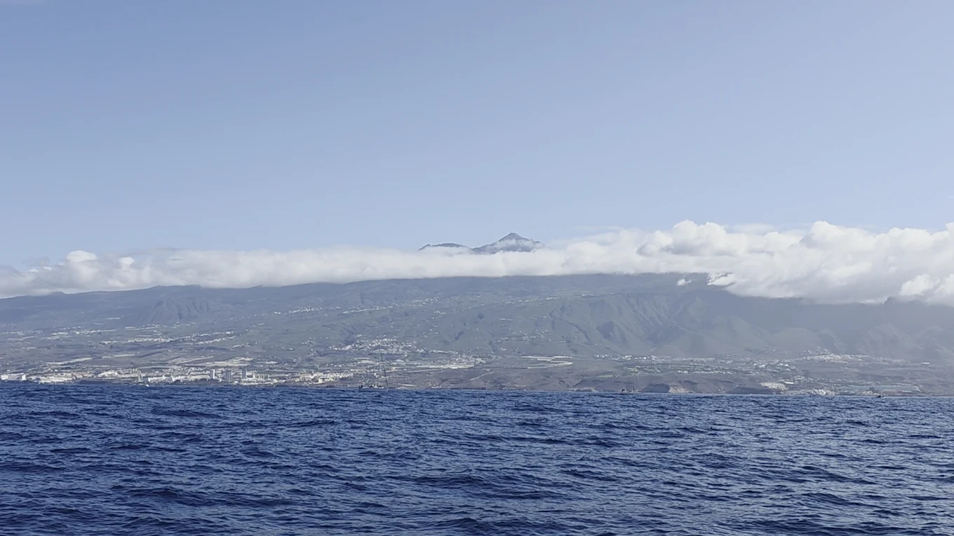 Champagne Cruises in La Caleta