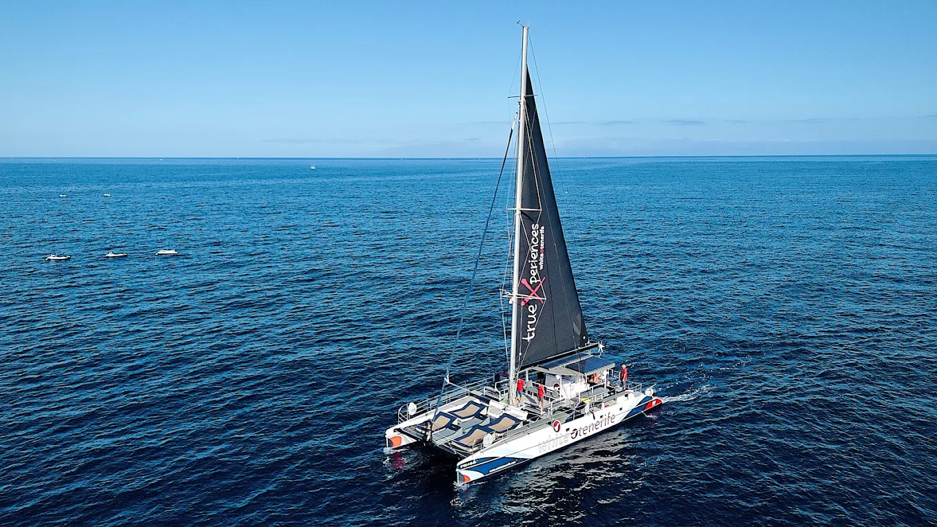 Champagne Cruises in La Caleta photo 4