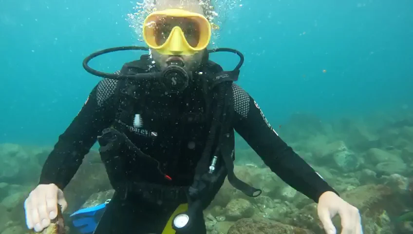 Diving & Snorkeling in Los Cristianos