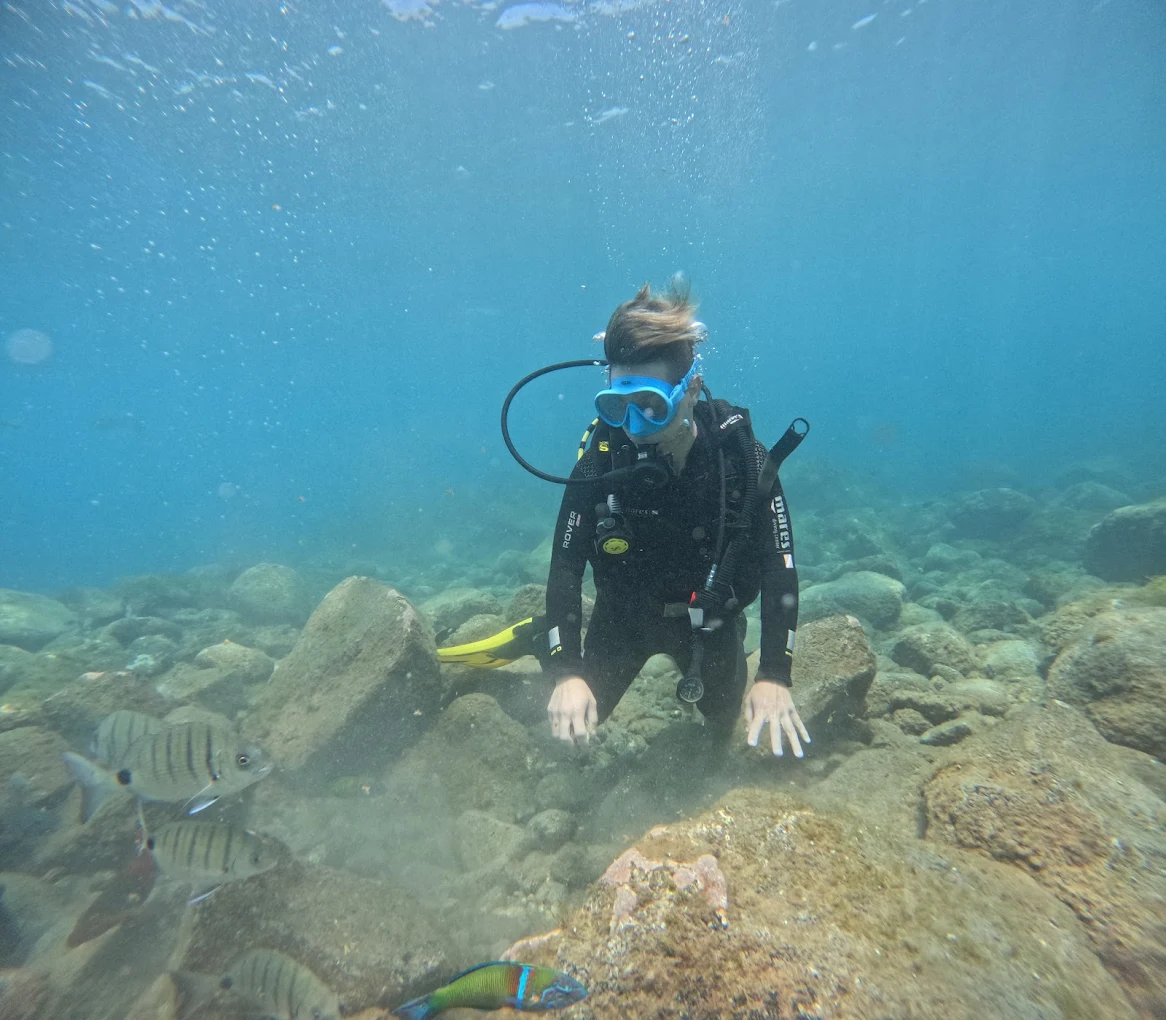 Diving & Snorkeling in Los Cristianos photo 2