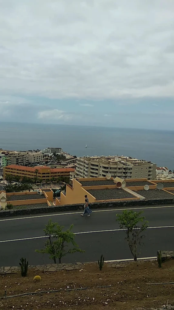 Glass Bottom Boat in Los Gigantes photo 3