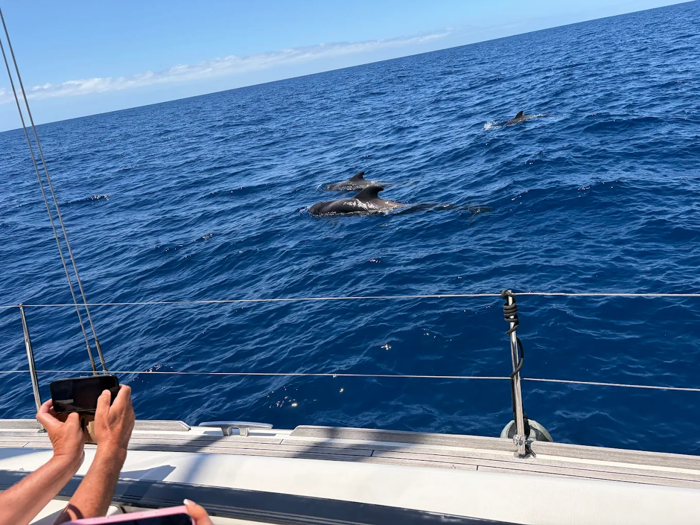 Sailing Excursion in La Laguna photo 2