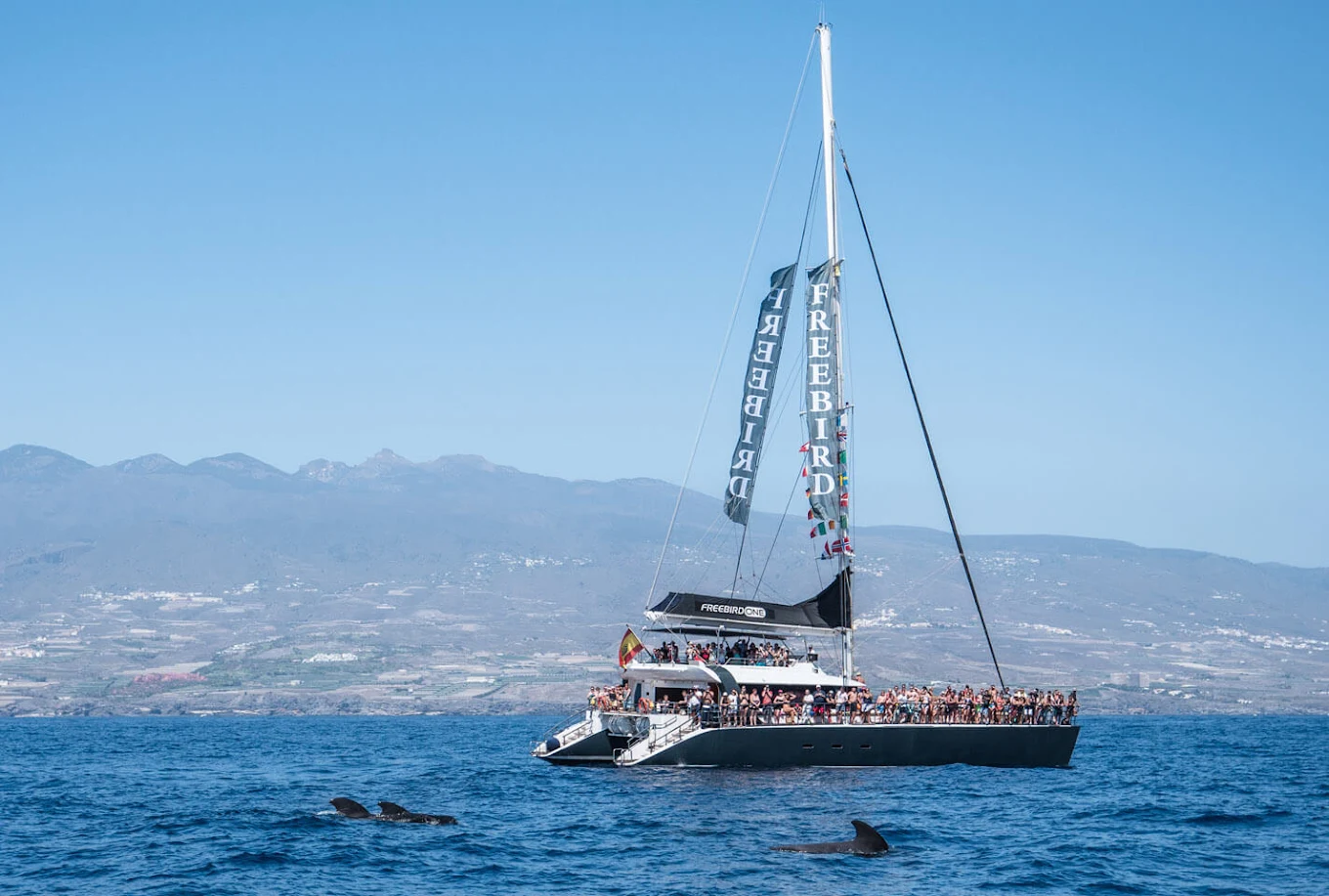 Fishing Charter in Puerto de la Cruz