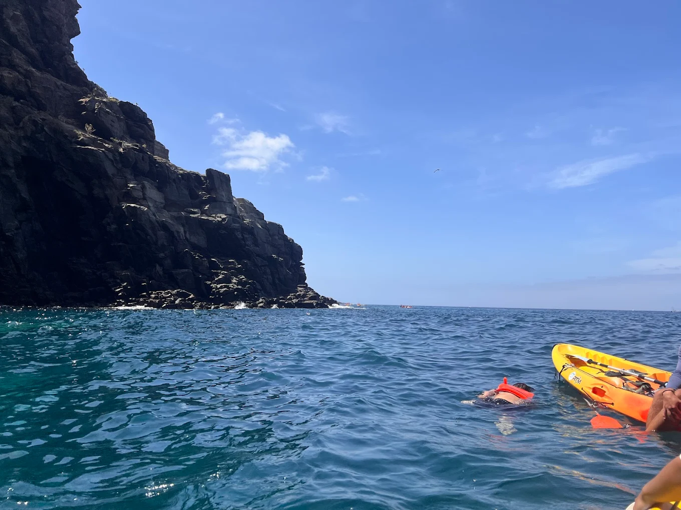 Kayaking & Paddleboarding in Puerto de la Cruz photo 3