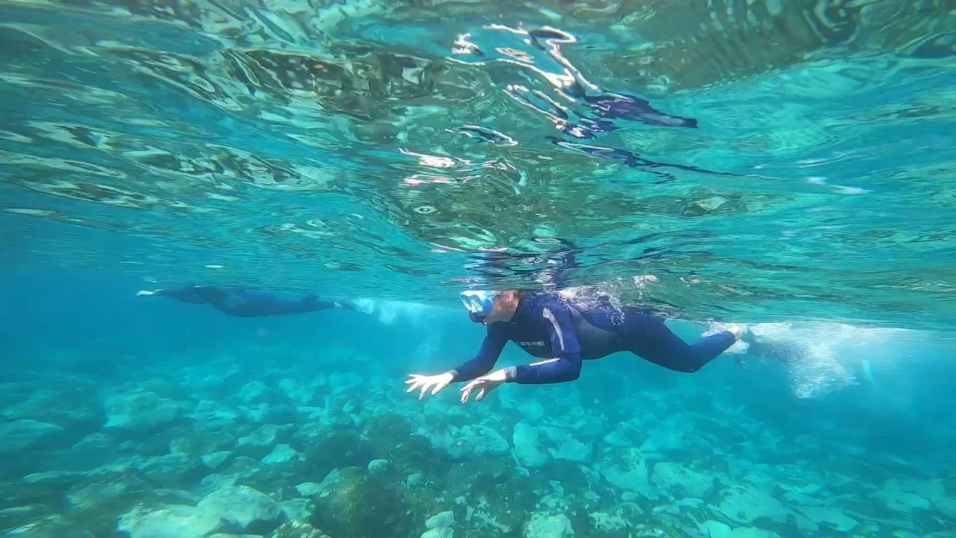 Snorkeling in El Pinar