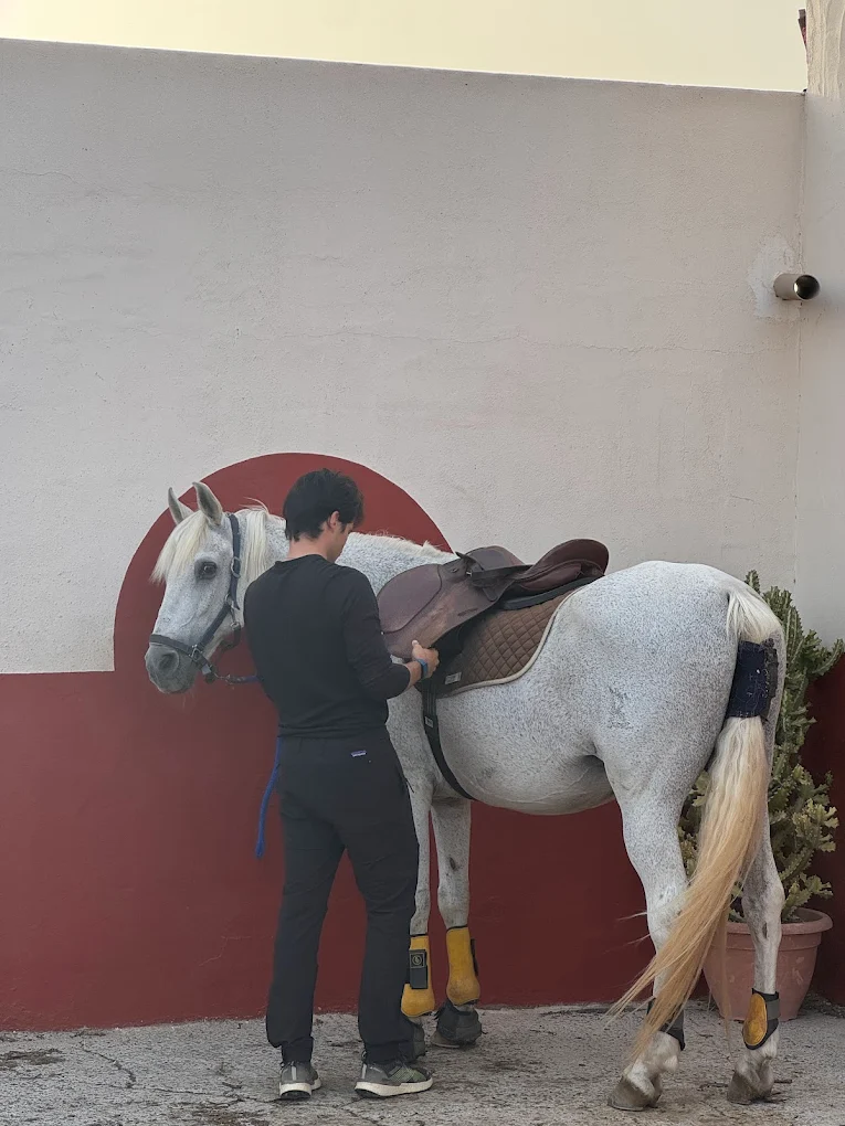 Horseback Riding in Yaiza
