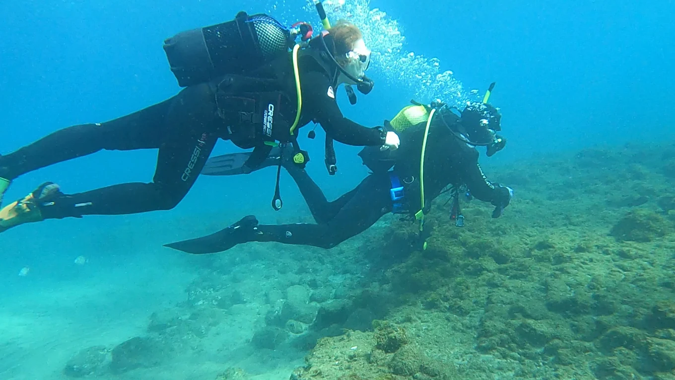 Diving & Snorkeling in Playa del Inglés