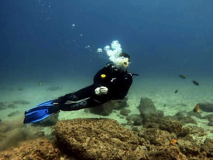 Diving & Snorkeling in Playa del Inglés photo 5