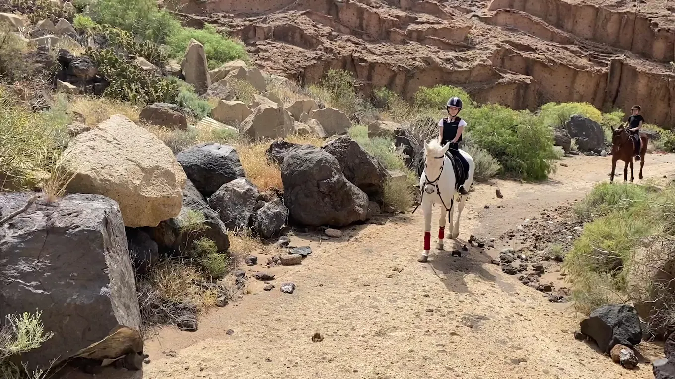 Horseback Riding in La Caleta