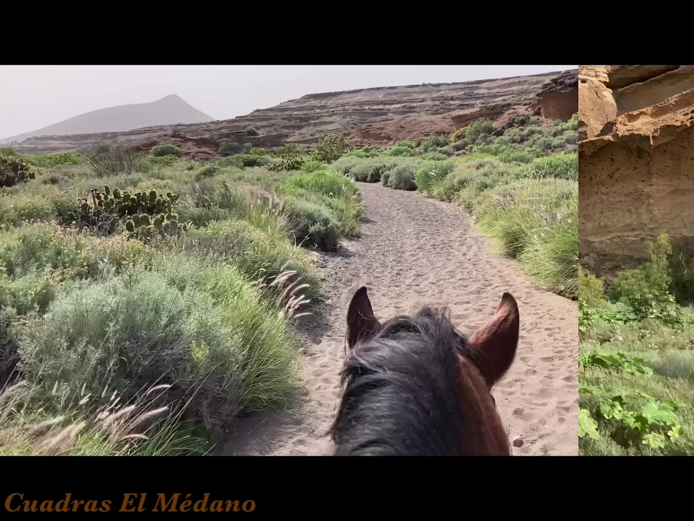 Horseback Riding in La Caleta photo 2