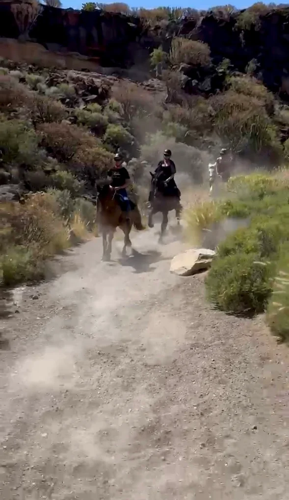 Horseback Riding in La Caleta photo 3