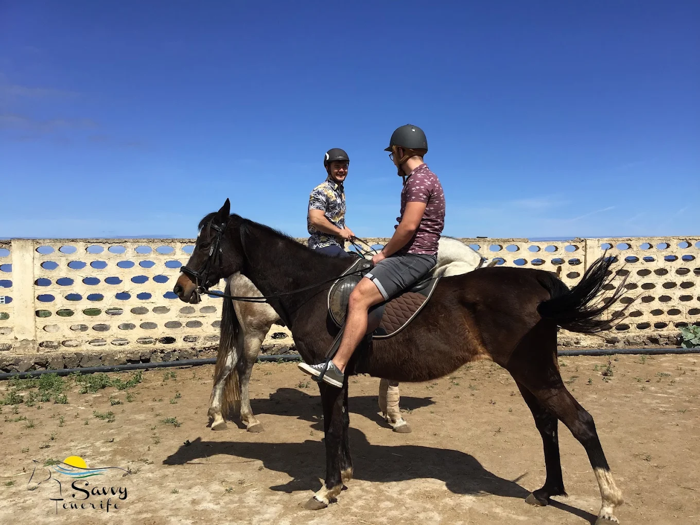 Horseback Riding in Santa Cruz