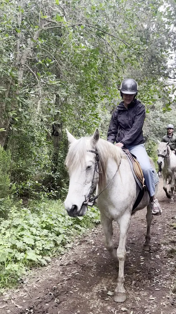 Horseback Riding in Santa Cruz photo 2