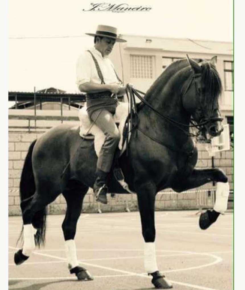 Horseback Riding in Santa Cruz photo 3