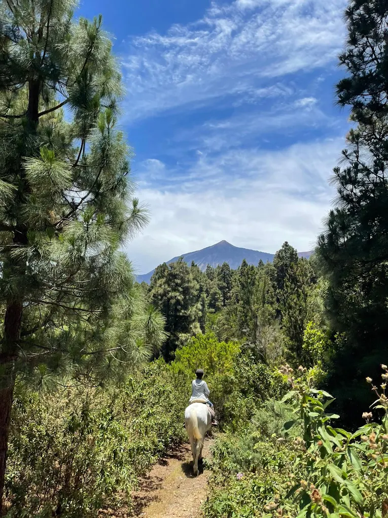 Horseback Riding in Santa Cruz photo 5