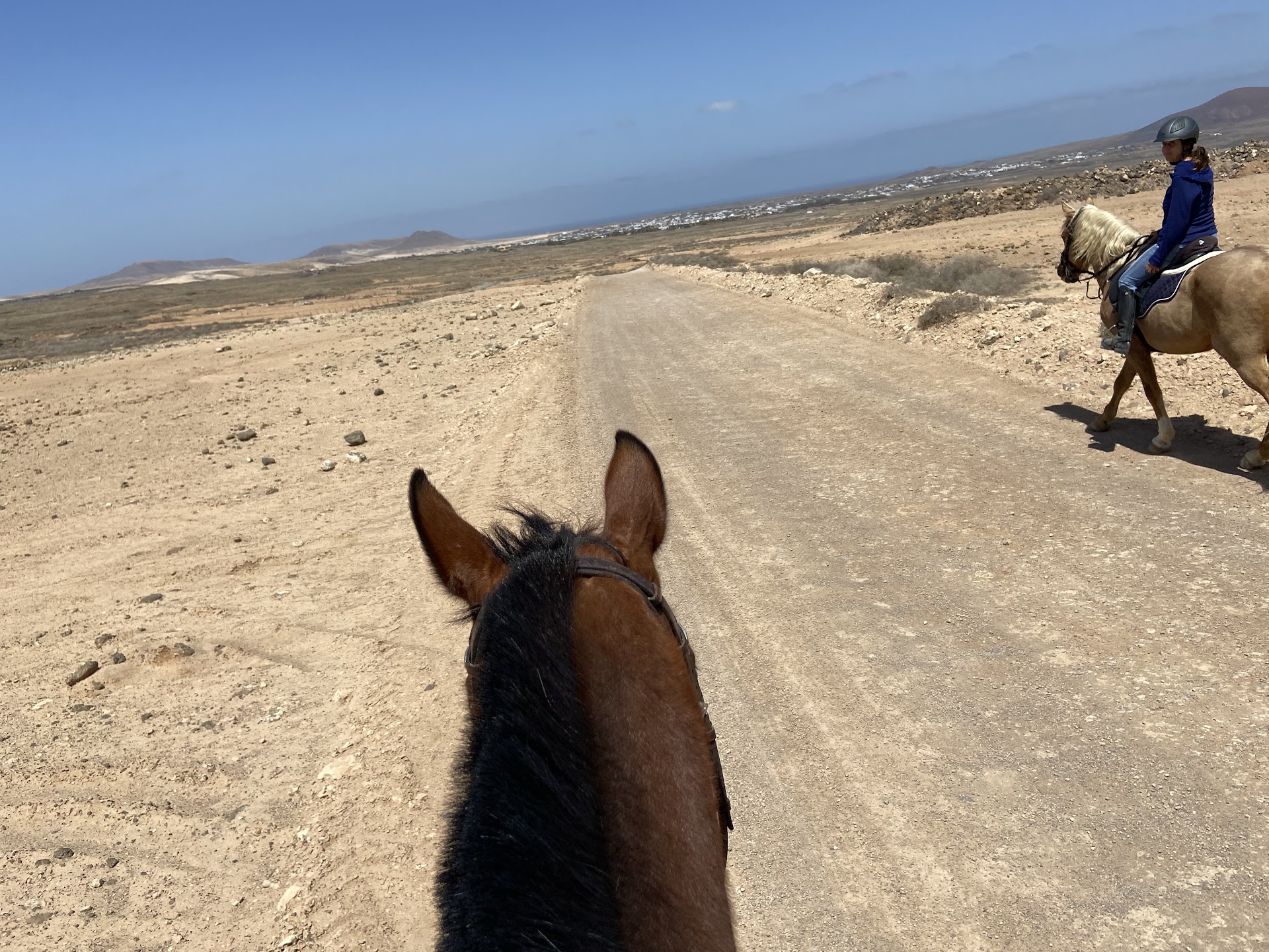 Cuadras Adelfa / Horseriding Villaverde