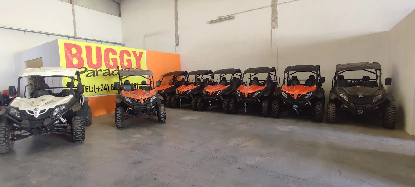Off-Road Adventures in Los Gigantes photo 4