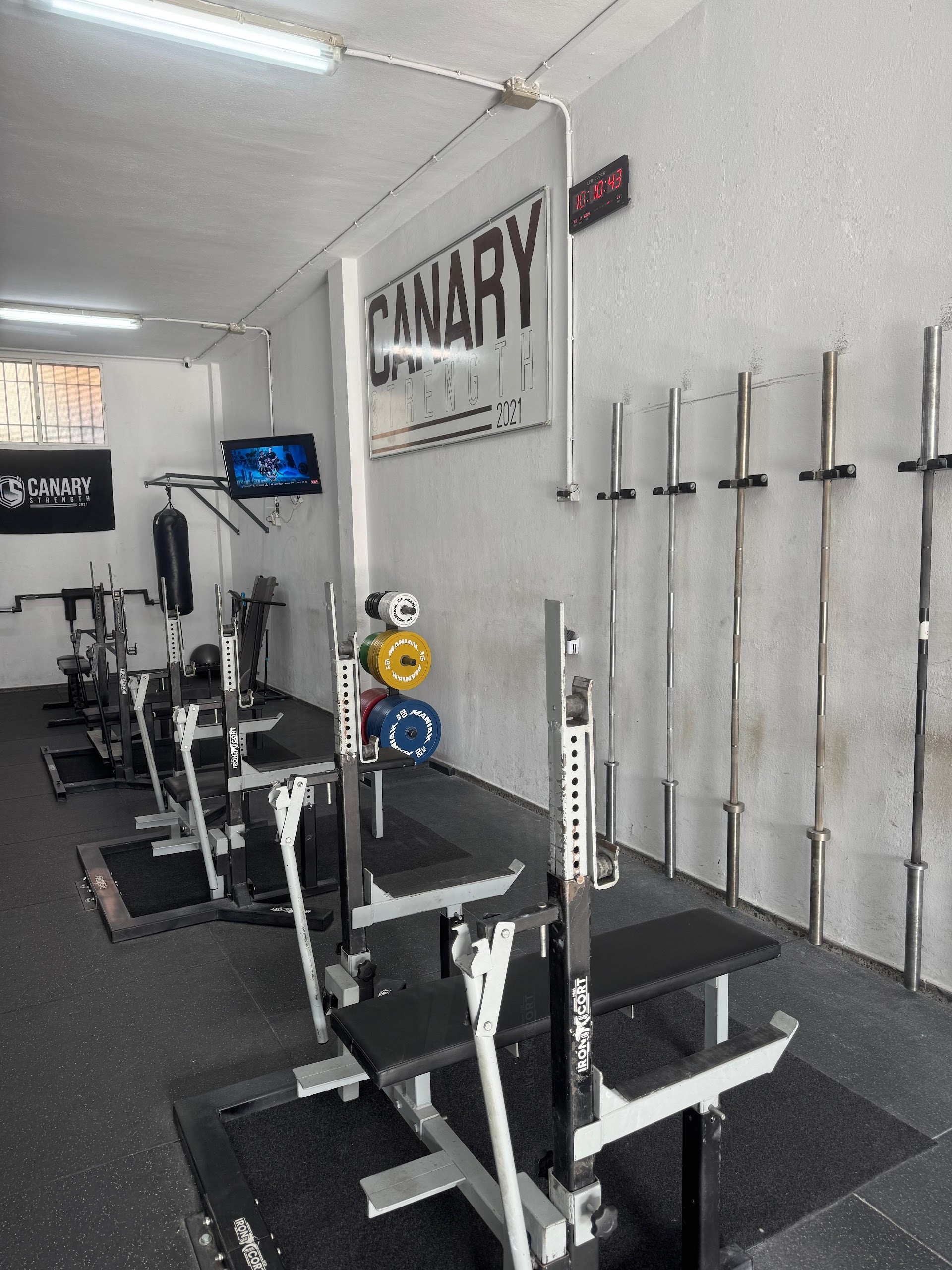 Canary Strength (CS Gym)