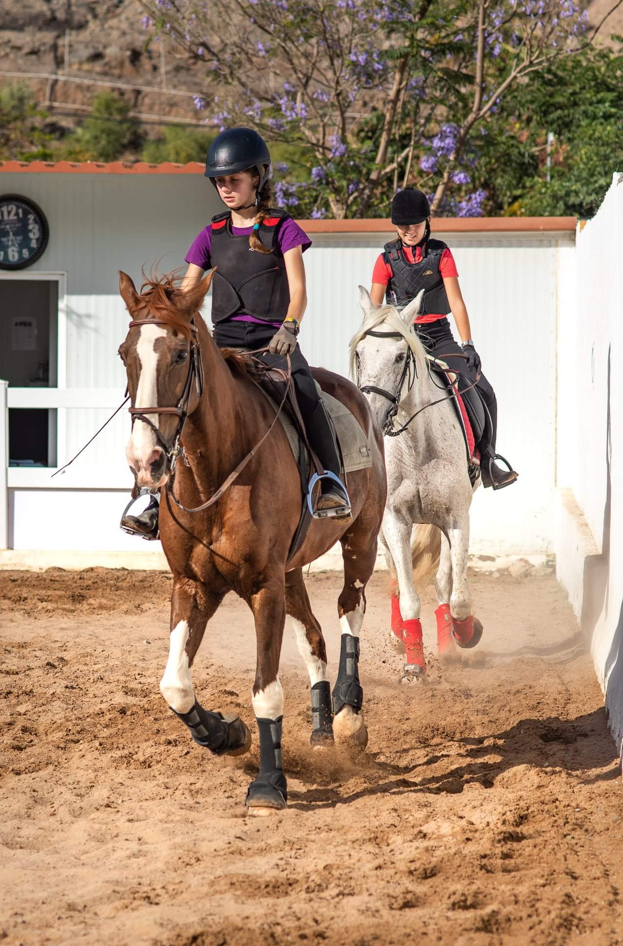 El Álamo - Club Hípico (Riding School • Jumping lessons • Private Horse Stable)