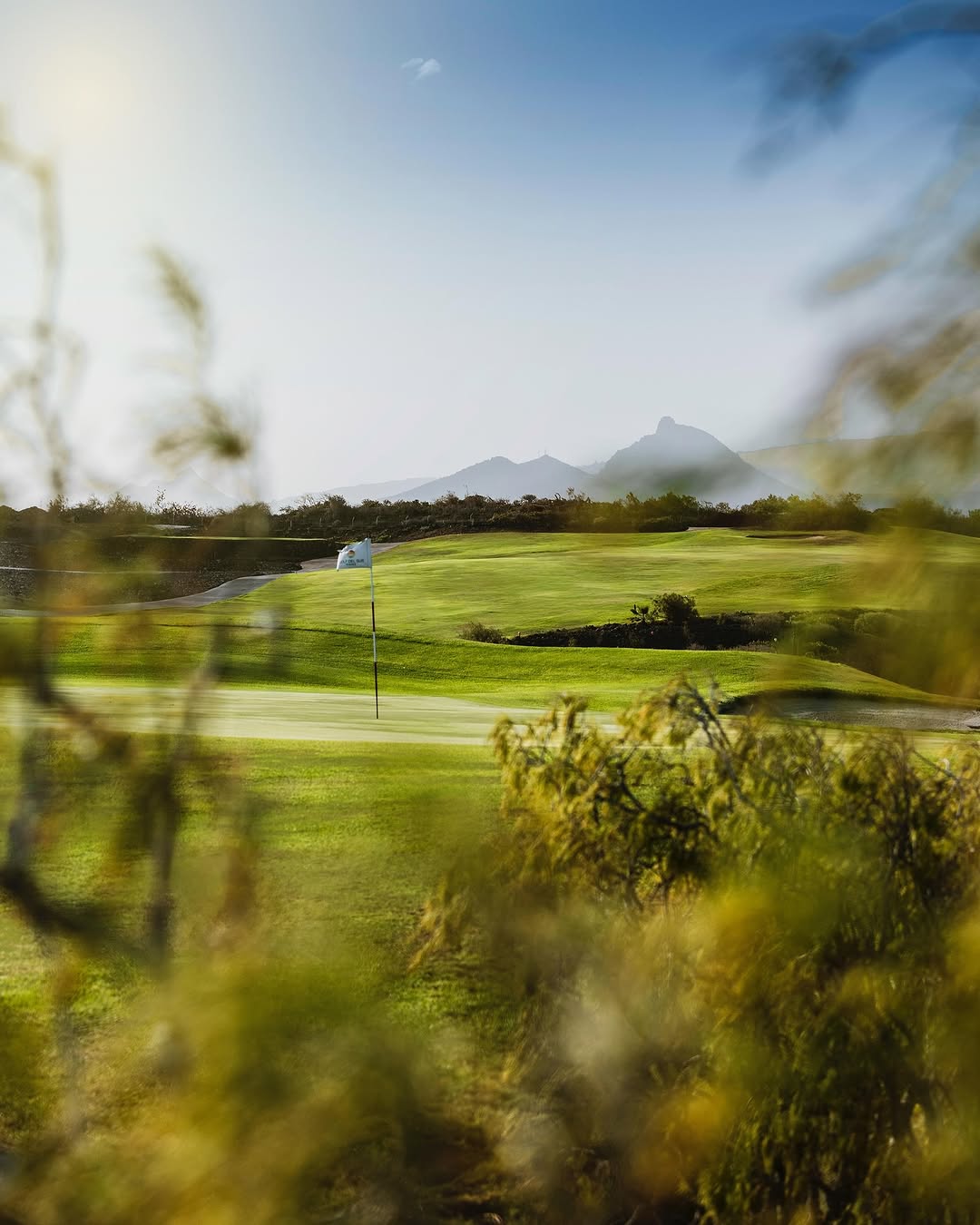 Campo de golf- Golf del sur