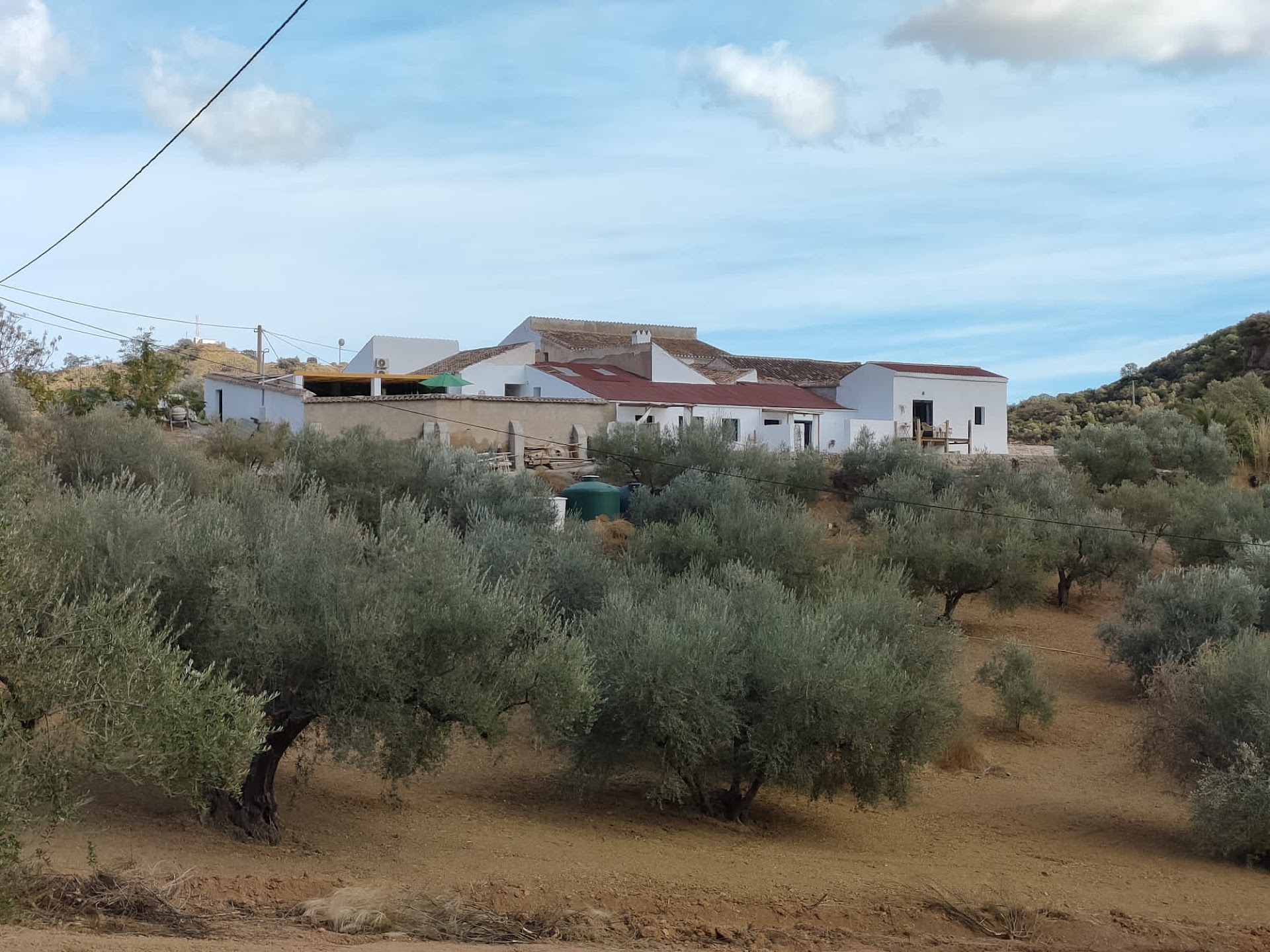 Finca Elements