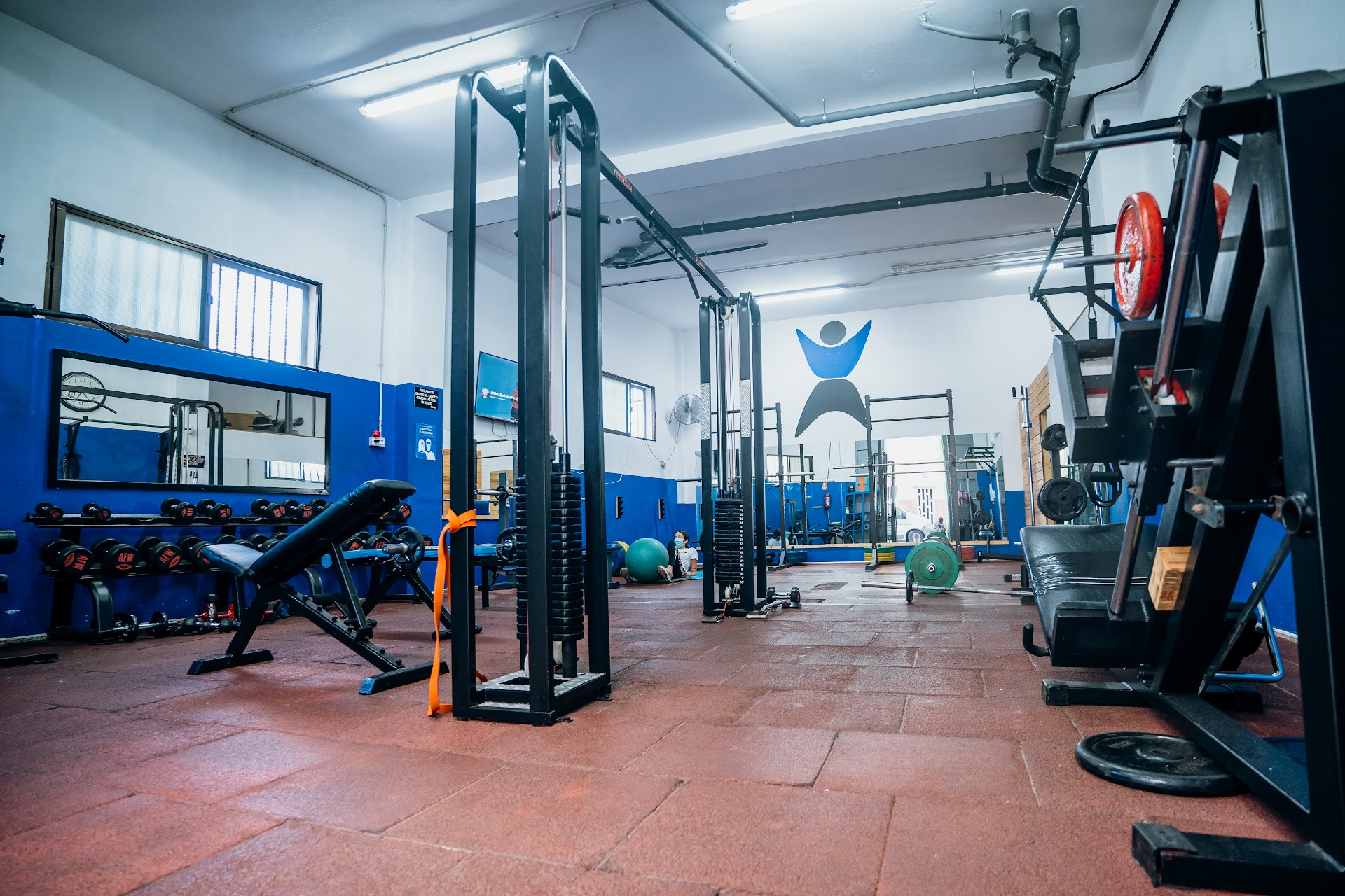 Cosmos Fitness