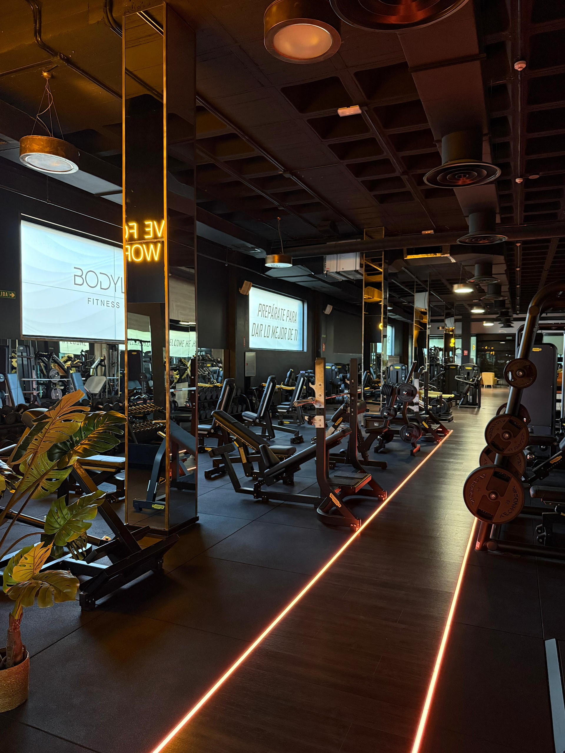 Bodyline Fitness club
