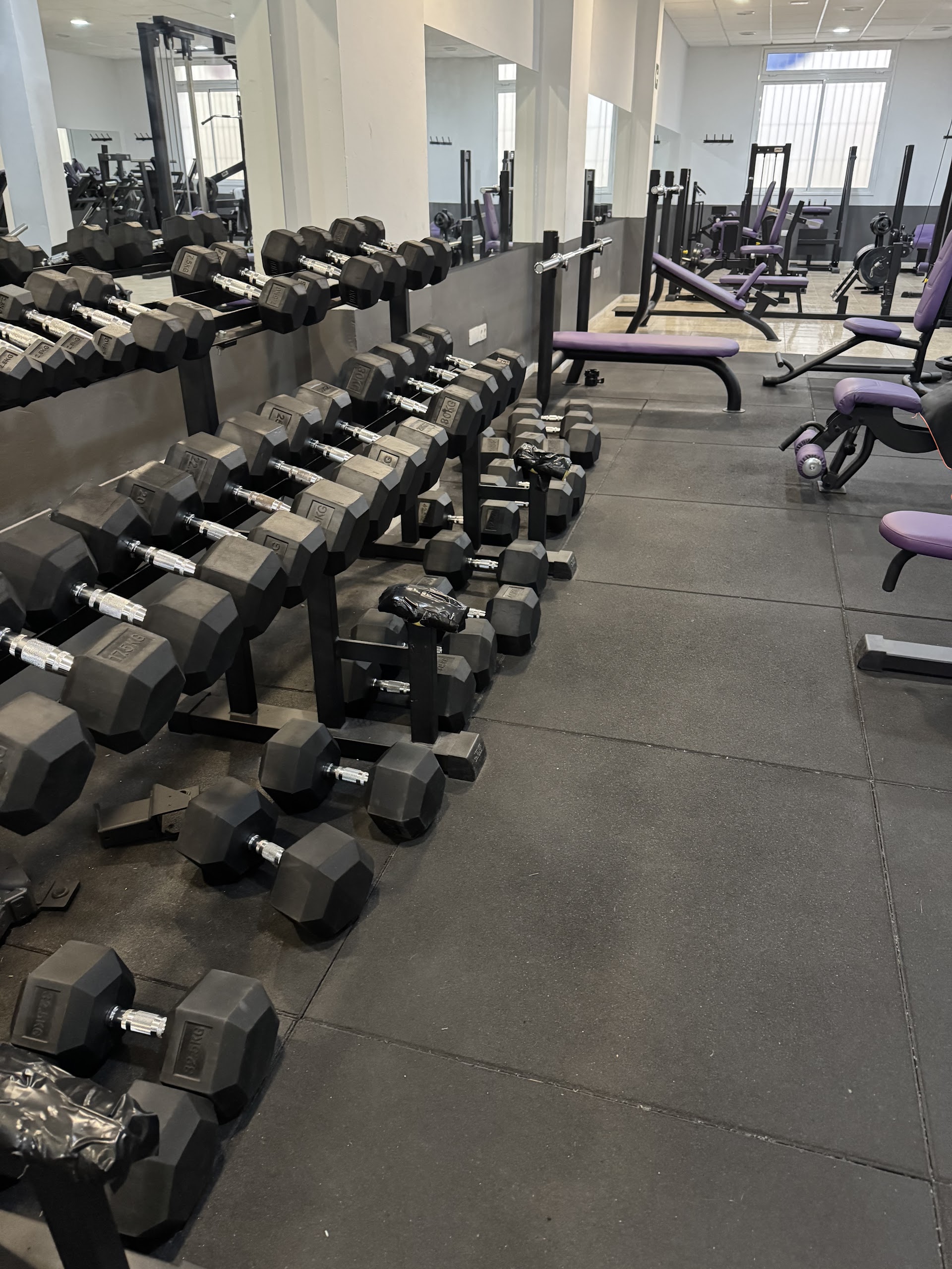 ZAMFIT GYM