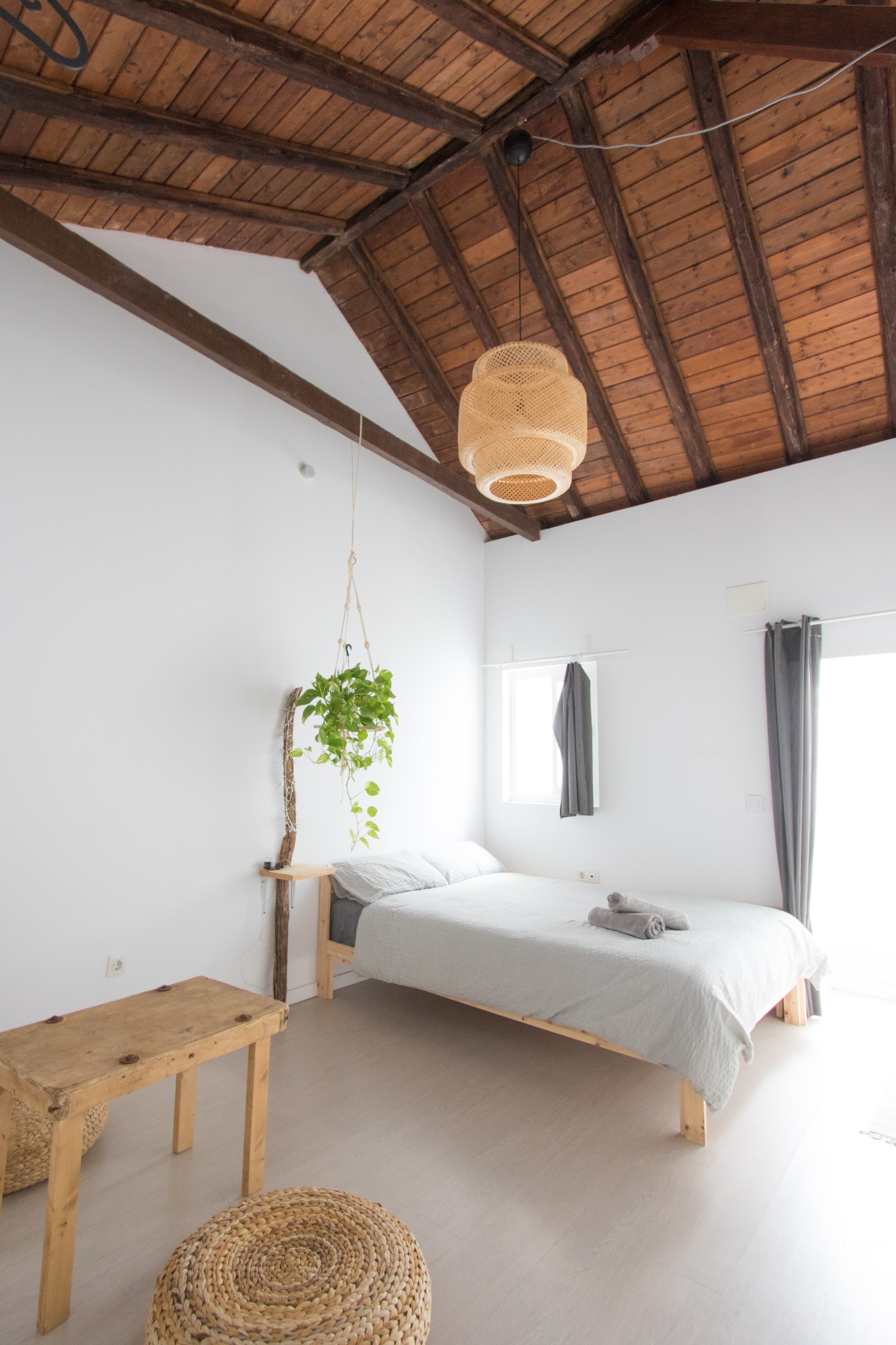 La PAPAYA Hostel