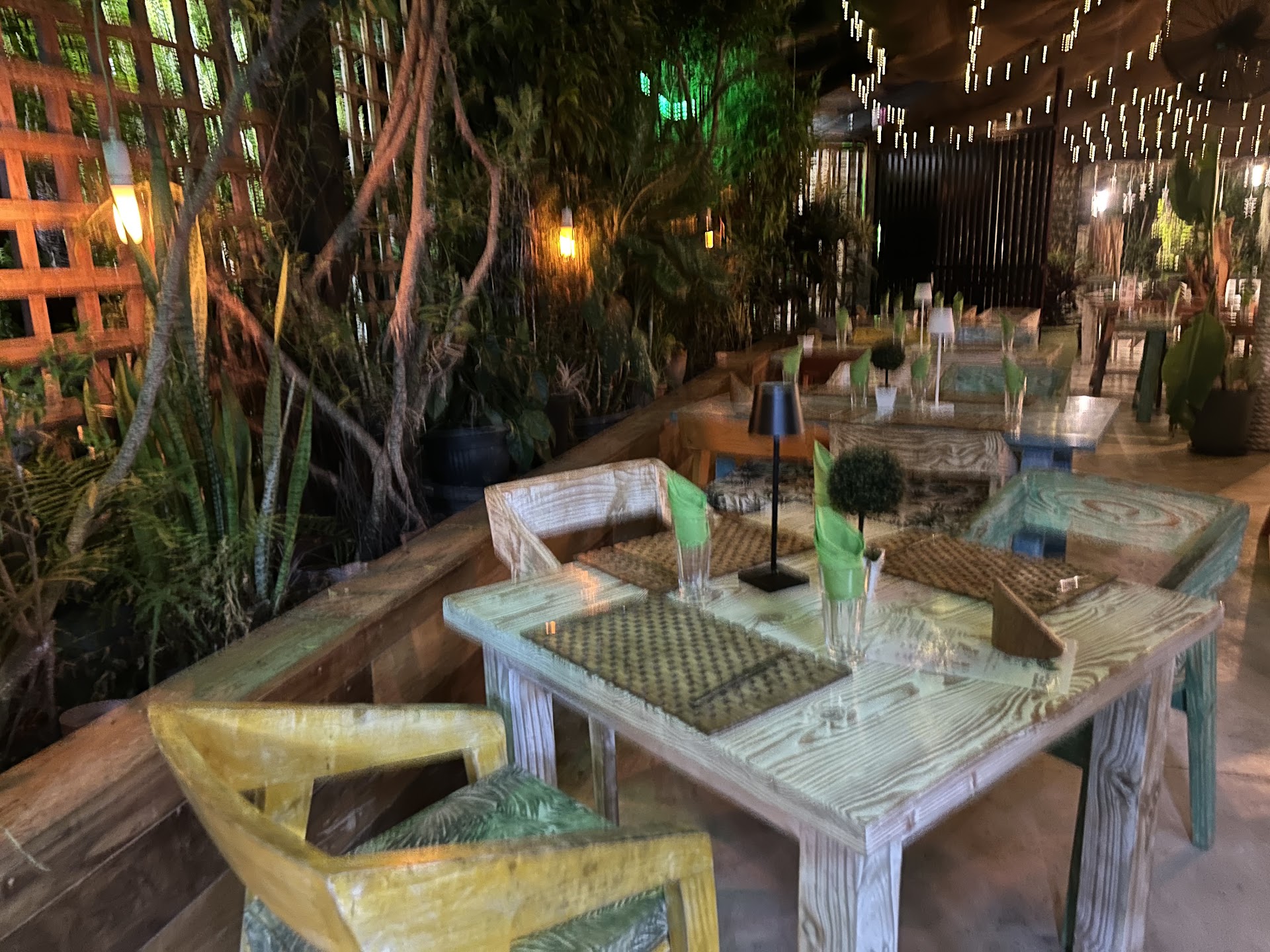 Green House Bar, Cafe, Restaurant