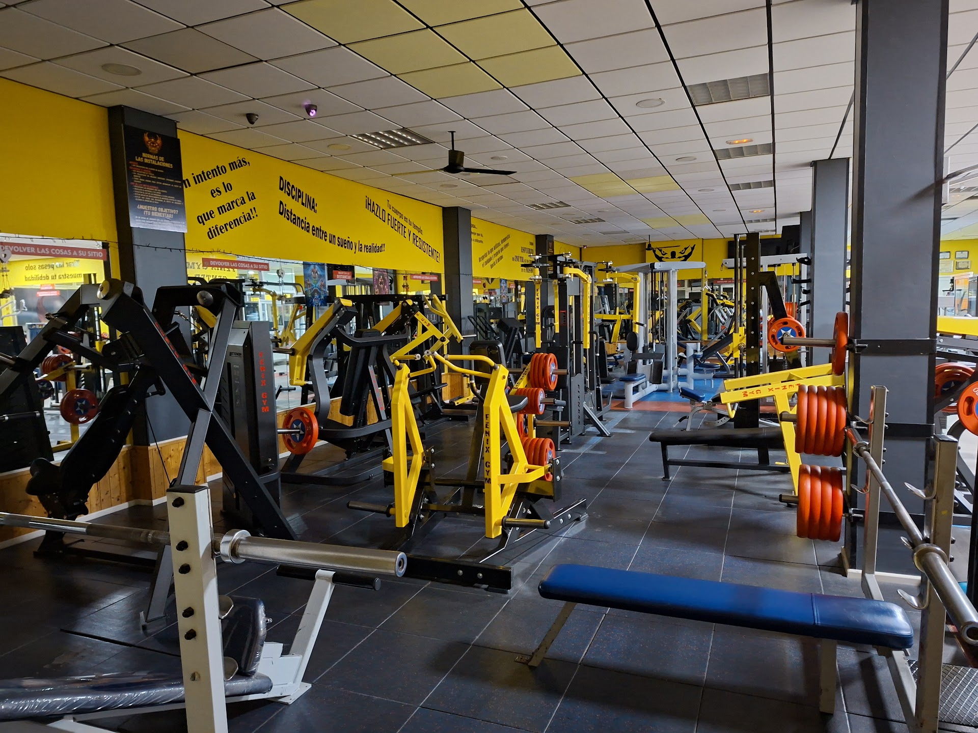 Fenix Gym