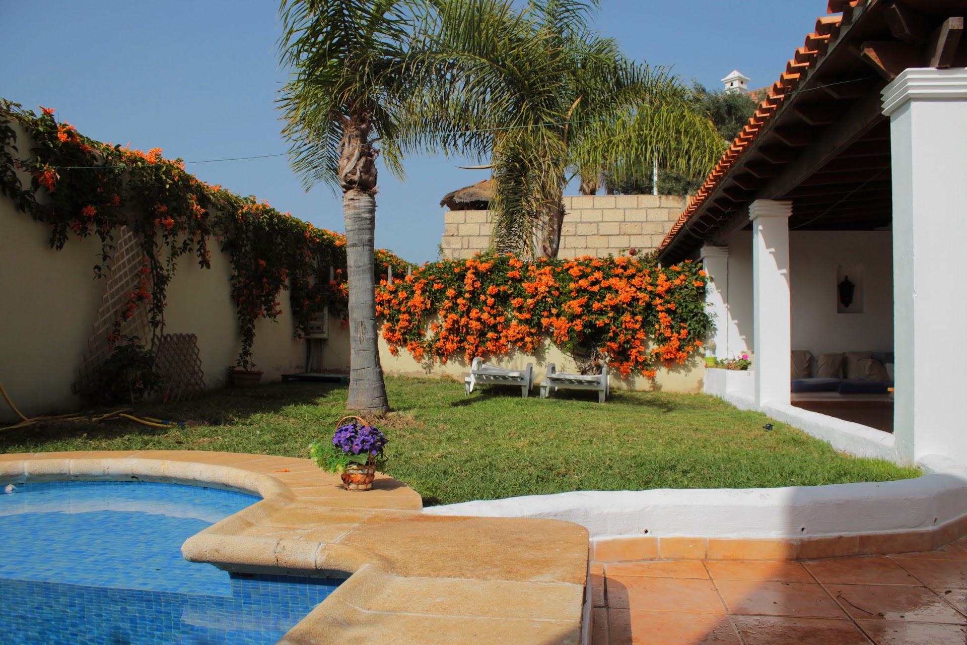 Hostel La Tortuga