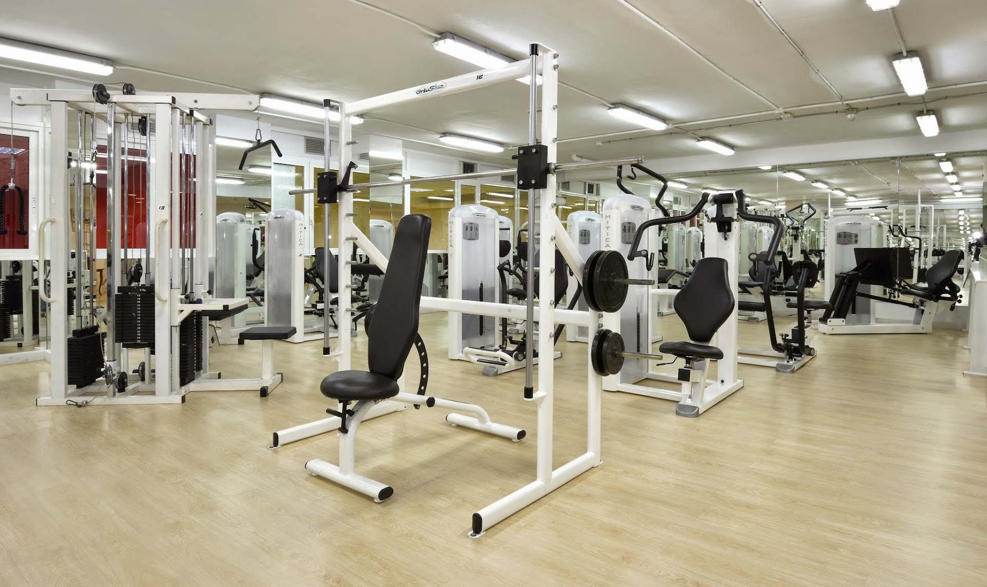 Gimnasio ArenaSport CAD