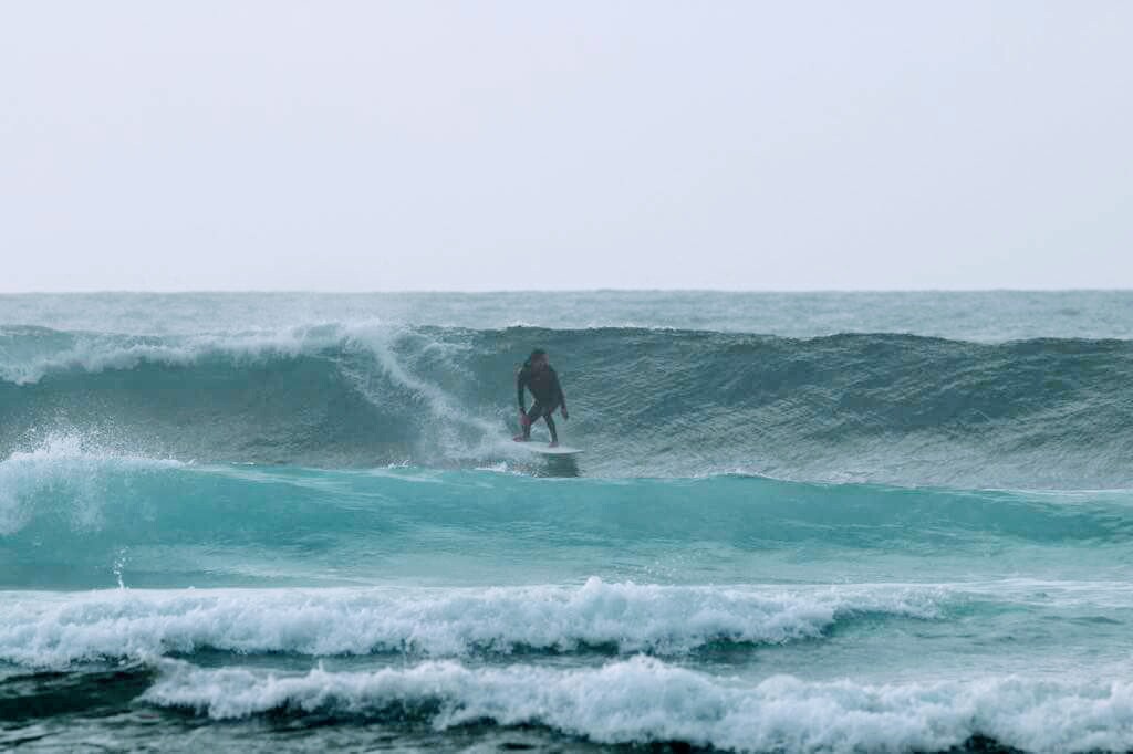 Ocean Life Tenerife Surf School - Playa De Las Americas